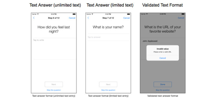 survey answer formats unlimited text-limited text-validated text answer format mobisoftinfotech