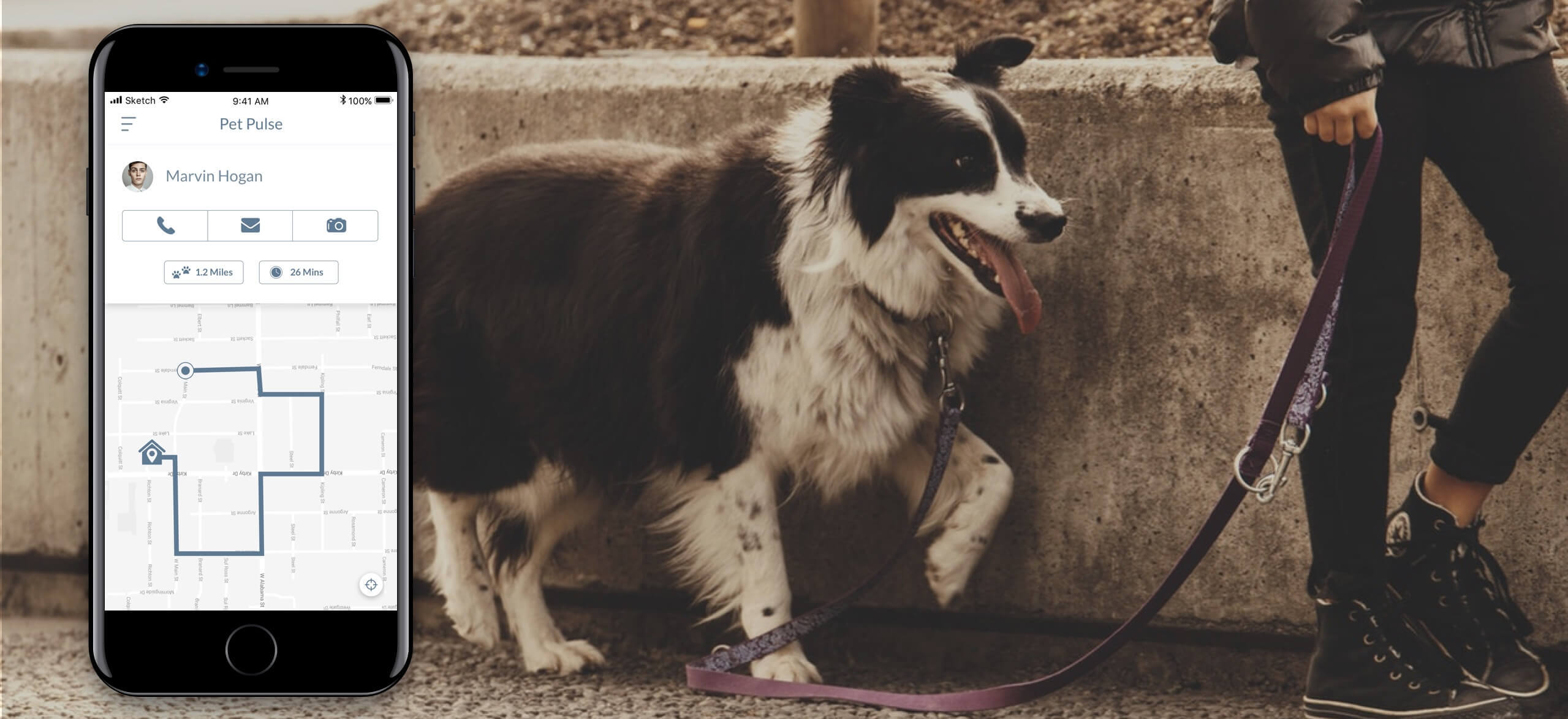 Dog shop walking tracker