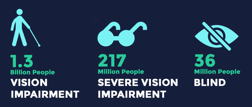 visually disabled people Stats