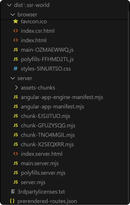 Dist folder containing Angular SSR output