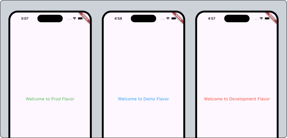 Final Results of Flutter App Multi-Environment Setup