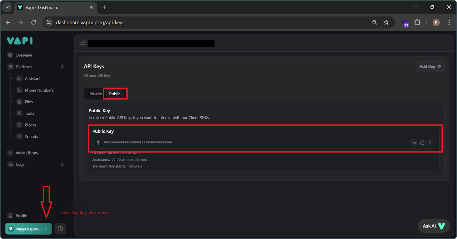 Obtain Public Key for VAPI AI Voice Assistant Integration