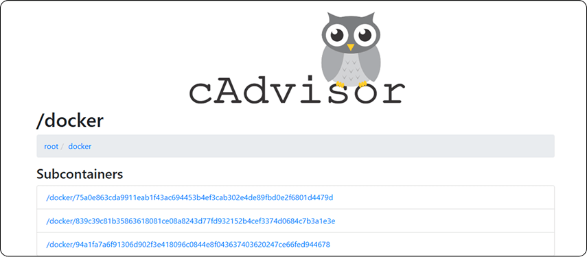 cAdvisor for Docker container monitoring