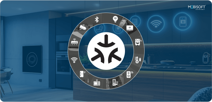 Explanation of Matter Protocol’s significance for smart home protocols