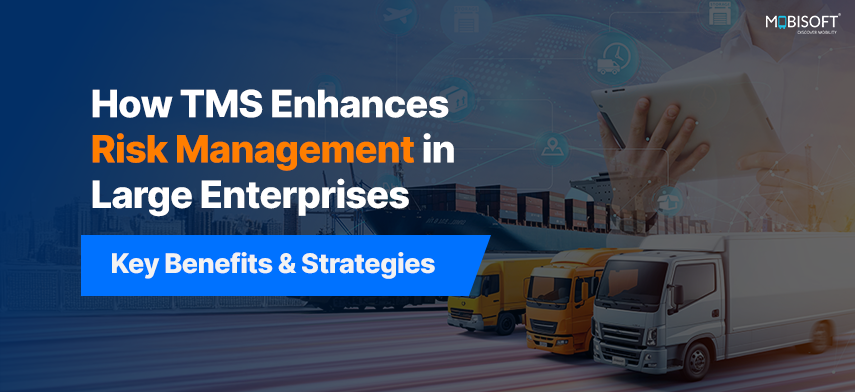 How TMS Enhances Risk Management in Large Enterprises: Key Benefits & Strategies How TMS enhances risk mitigation strategies in large enterprises