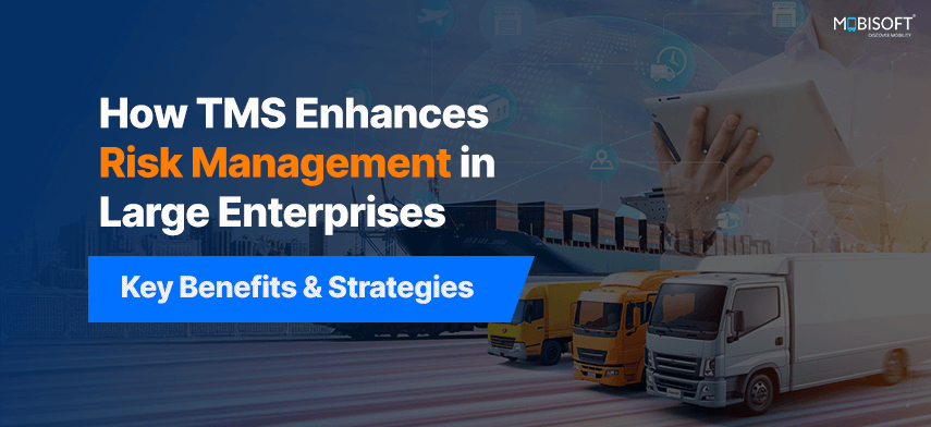How TMS enhances risk mitigation strategies in large enterprises