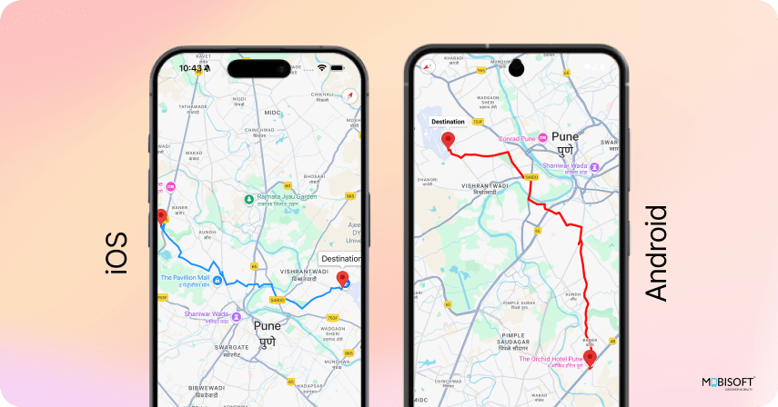Google Maps Direction API integration in React Native