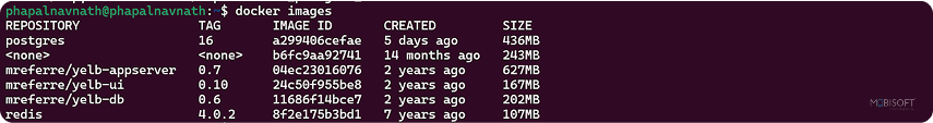 Check Docker Images and Running Containers Check Docker images and containers with lifecycle states