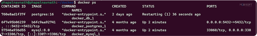 Docker Images and Running Containers Status Docker CLI to verify images and container lifecycle status