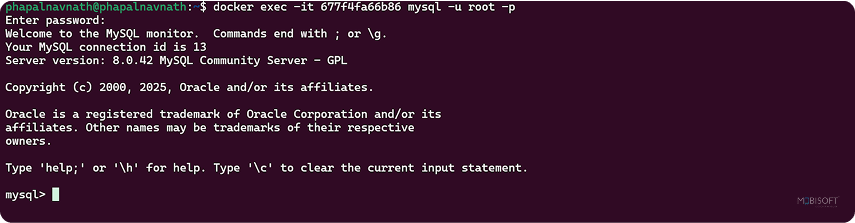 Access MySQL Client in Docker Container Access MySQL client inside Docker container lifecycle