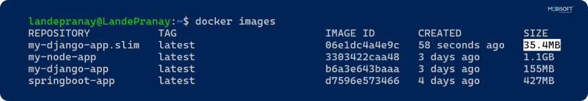 Scripted install process for Docker images